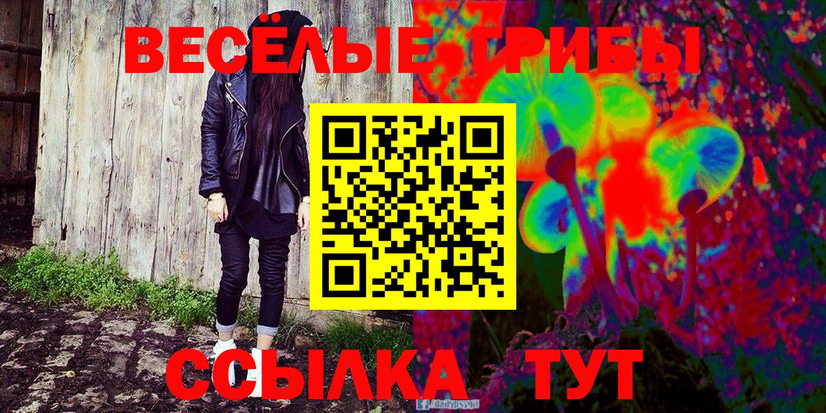 Галлюциногенные грибы MAGIC MUSHROOMS  Галлюциногенные грибы Psilocybine cubensis  Новошахтинск  Вход с VPN 