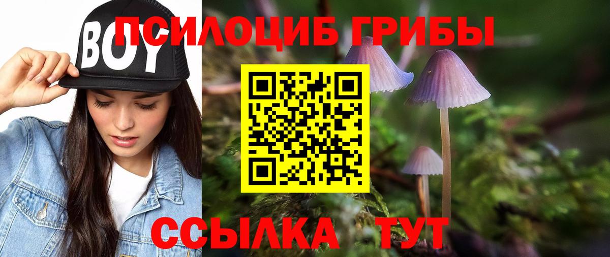 Галлюциногенные грибы Cubensis Новошахтинск